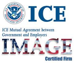 Ice Logo 02
